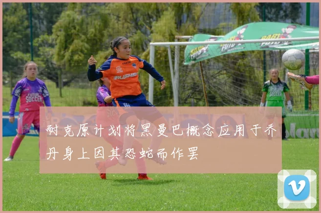 耐克原计划将黑曼巴概念应用于乔丹身上因其恐蛇而作罢