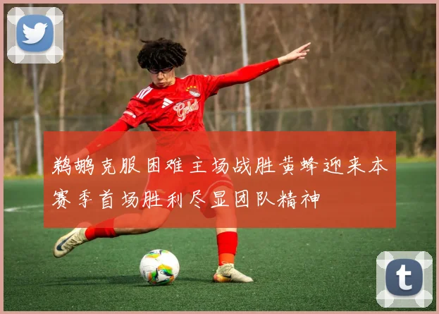鹈鹕克服困难主场战胜黄蜂迎来本赛季首场胜利尽显团队精神
