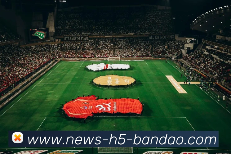 半岛体育APP 封面图